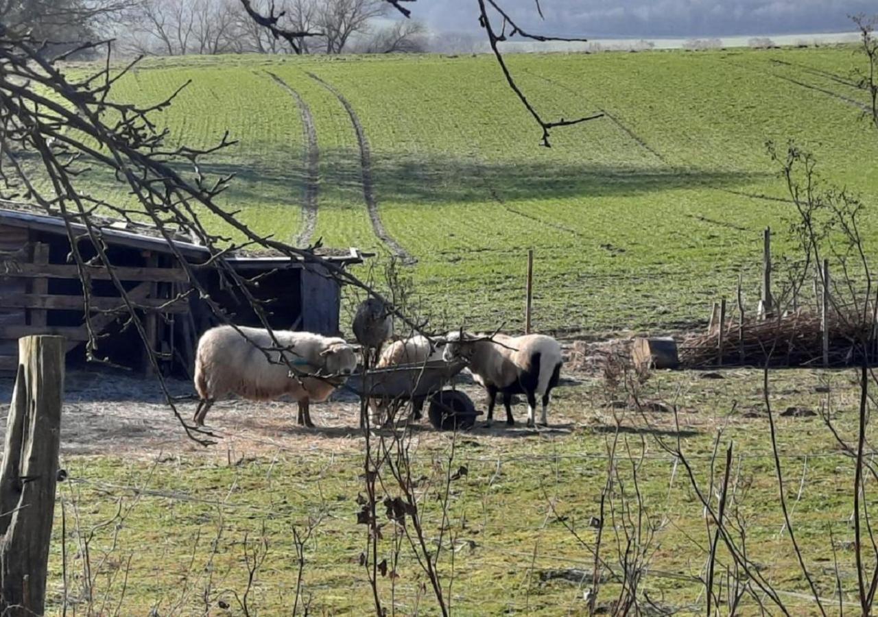 Exklusive Naturoase Direkt Am Ars Natura Wanderweg Mit Panoramablick Auf Melsungen Exterior foto